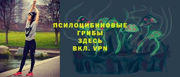 а пвп мука Аркадак