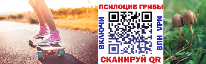 Купить закладки  Луза  Псилоцибиновые грибы мухоморы 